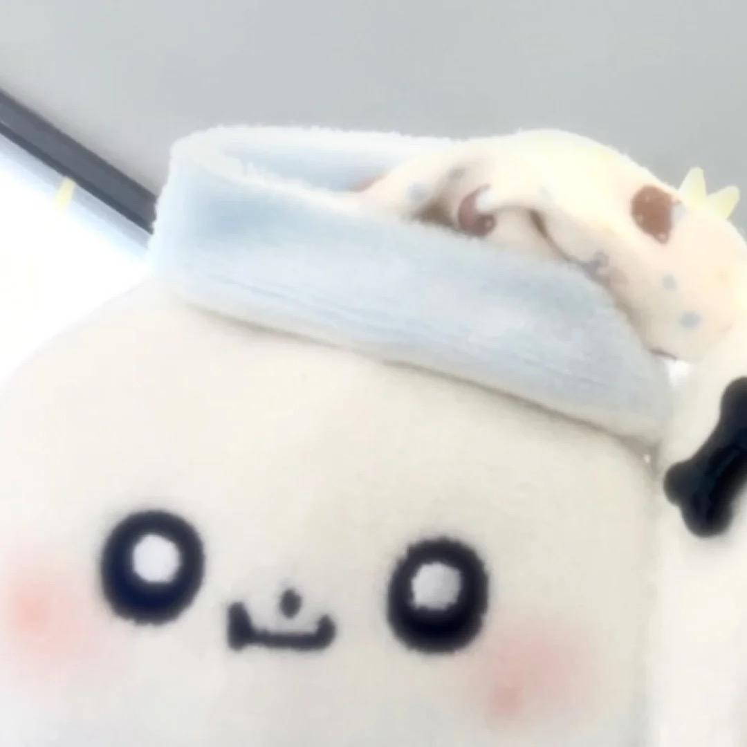 五点