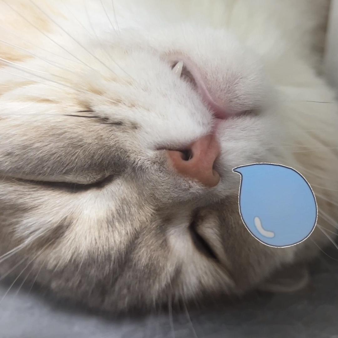 不想上班