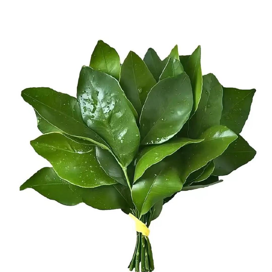 喝多了伤魏女士