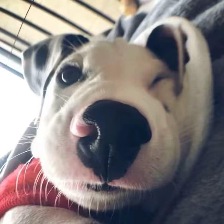小艾💤