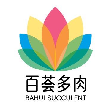 昆明百荟多肉