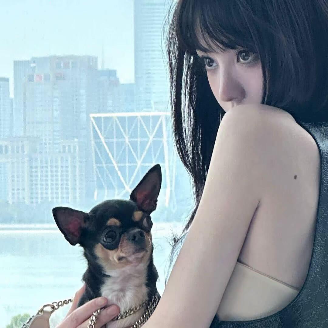 挽儿.
