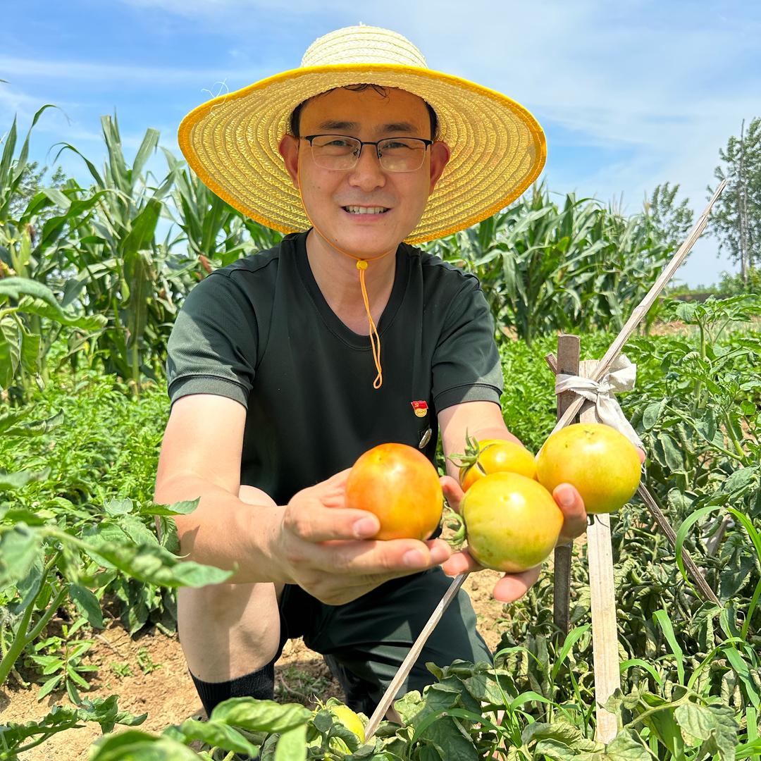 乡寻·朱子归（我的乡村生活）