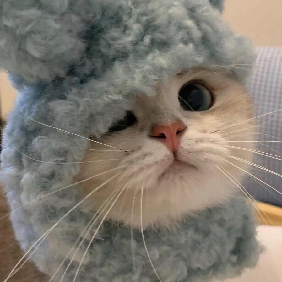 那可不呢