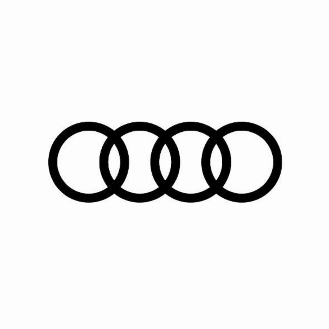 Audi Sport-分析鱼