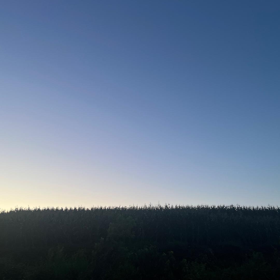ikun