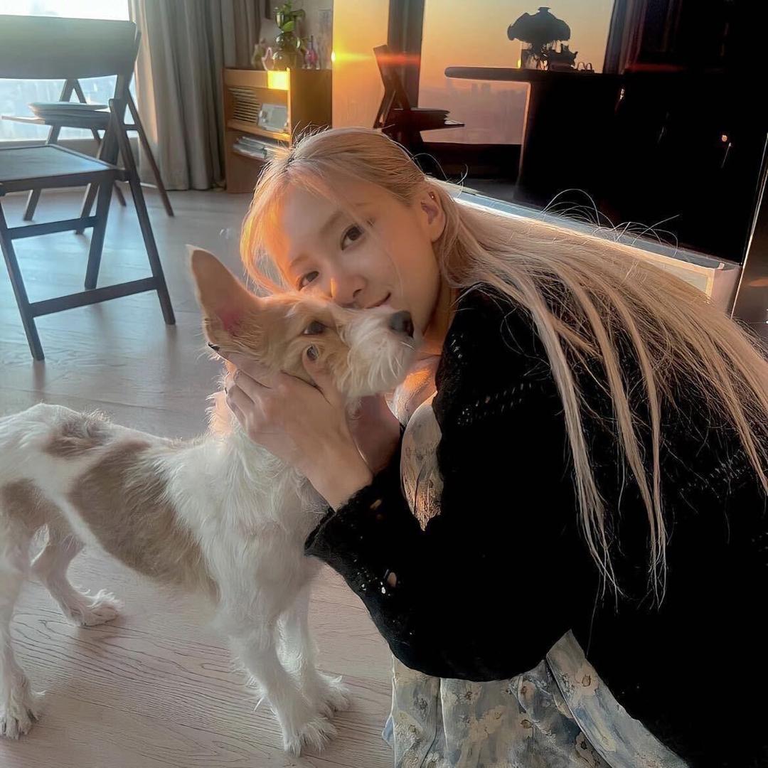 明天是个好天气