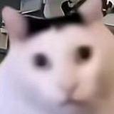 用户269468