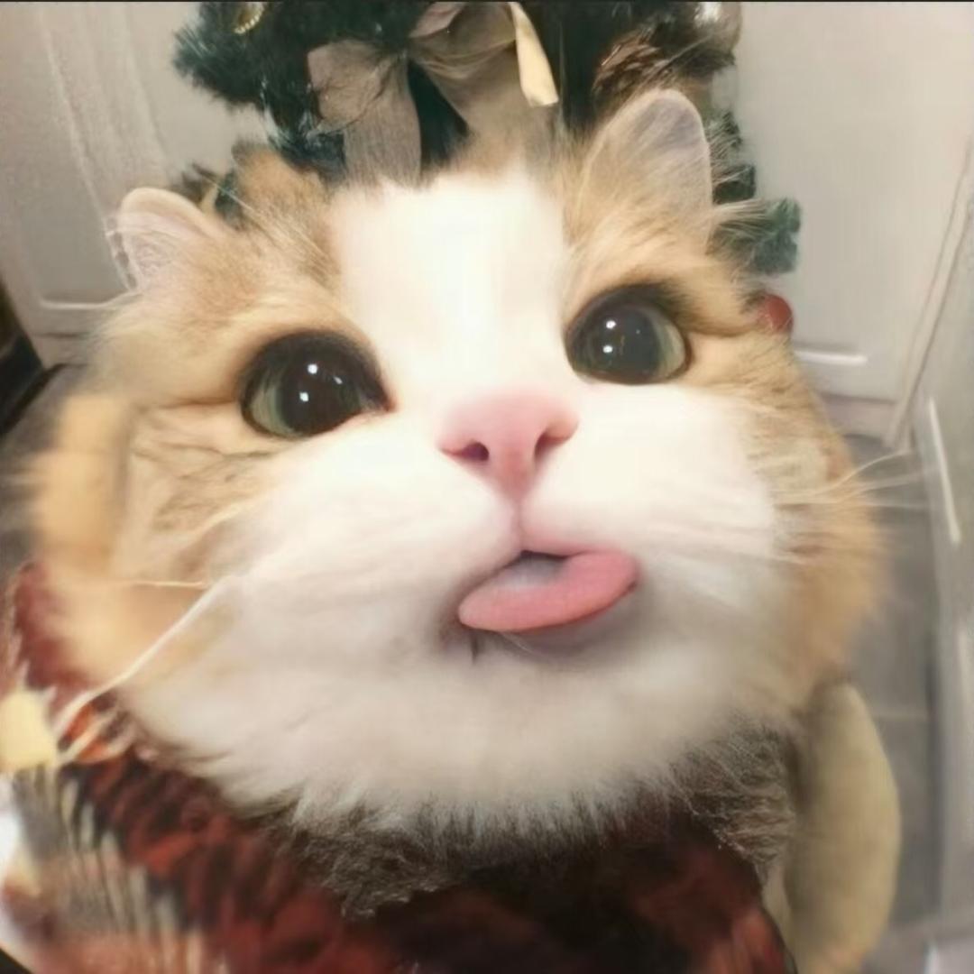 重生之恶毒千金