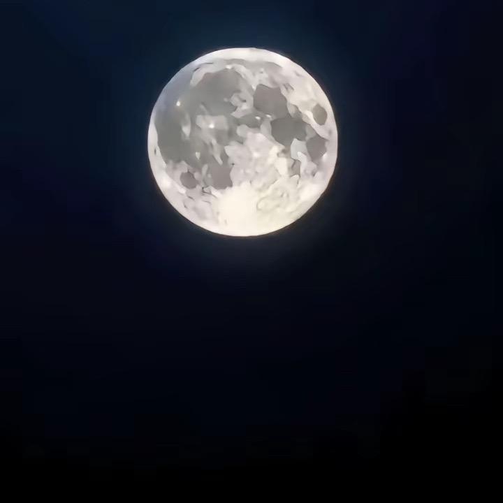 送财六爷