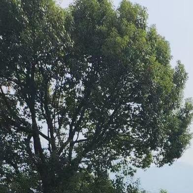不懂我懂