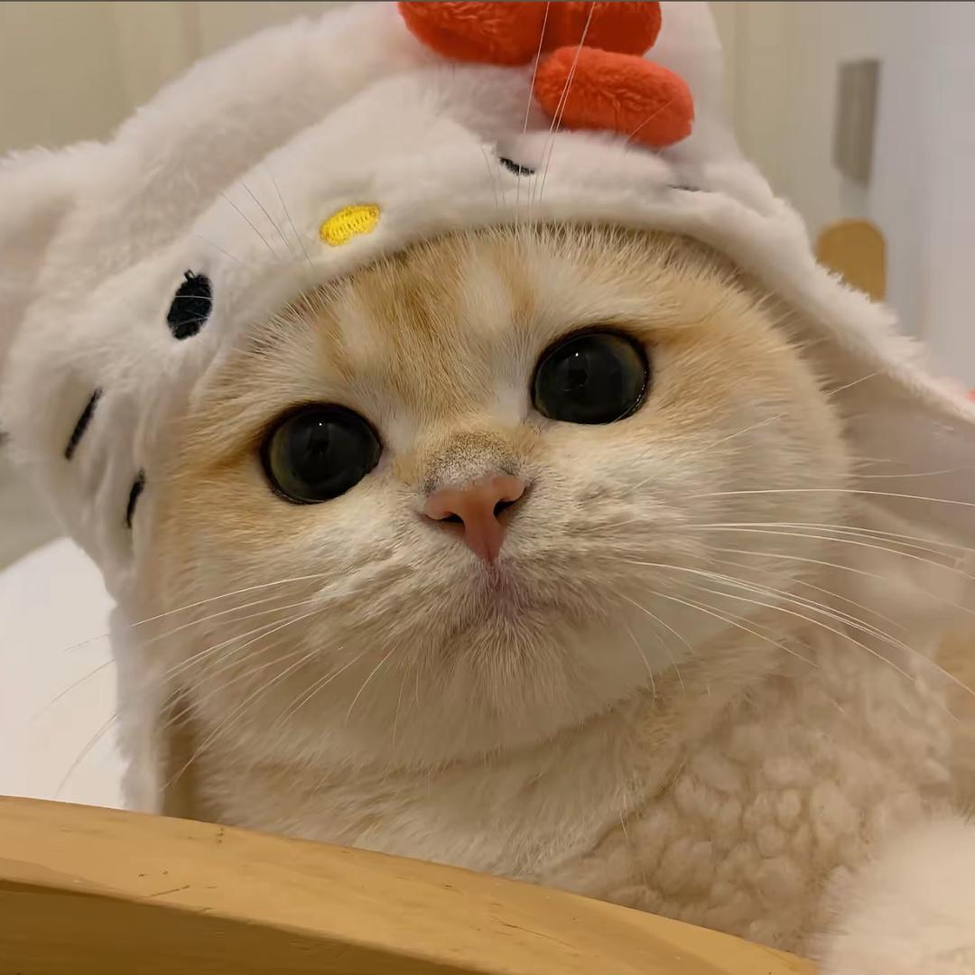 小玖拆卡店