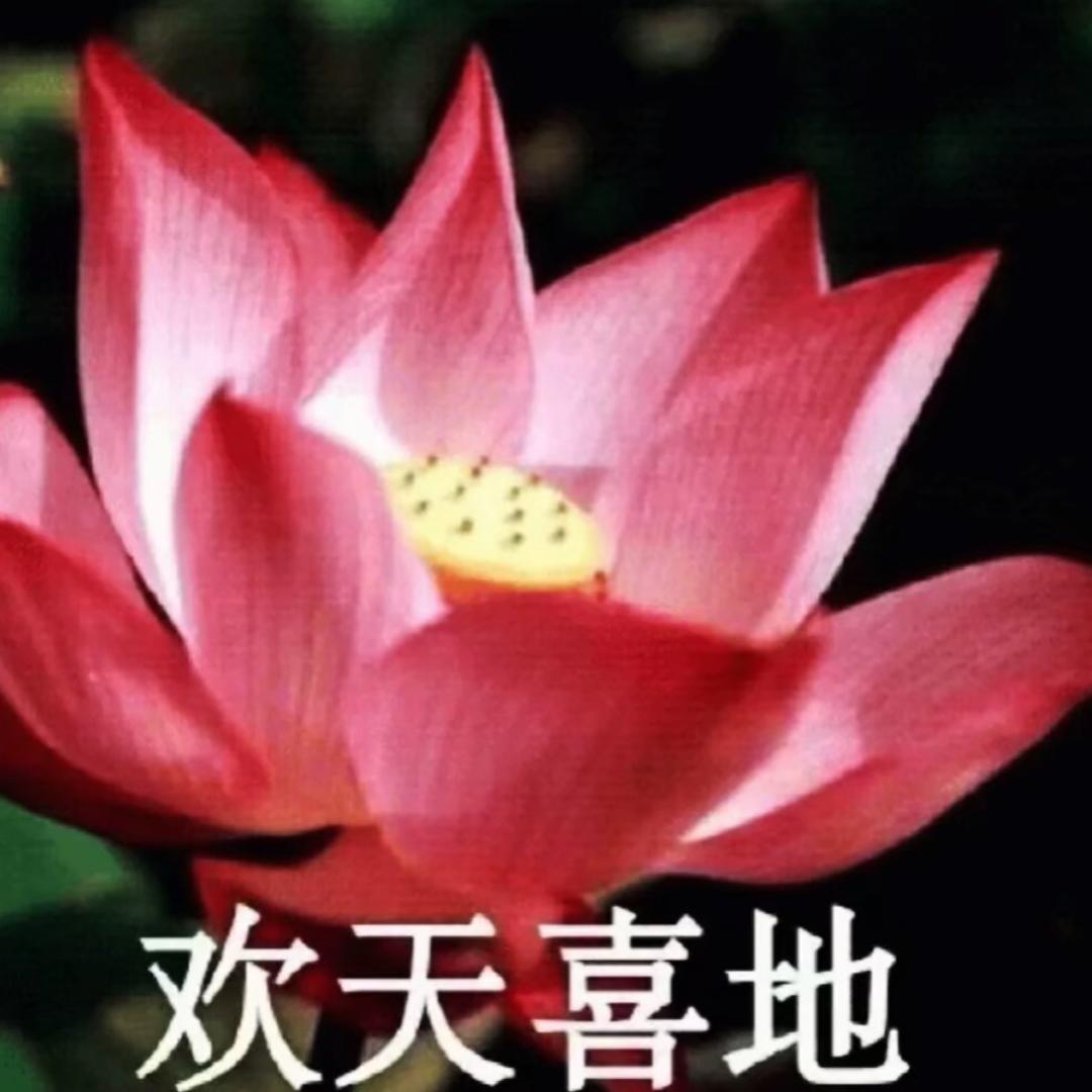 花开富贵💋.