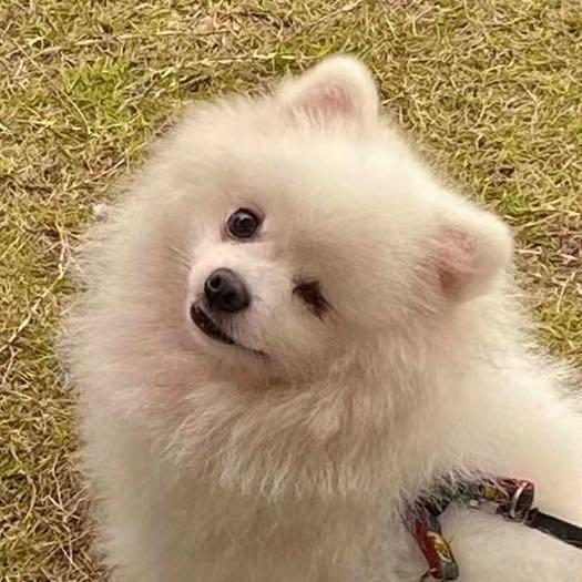 小林不上班
