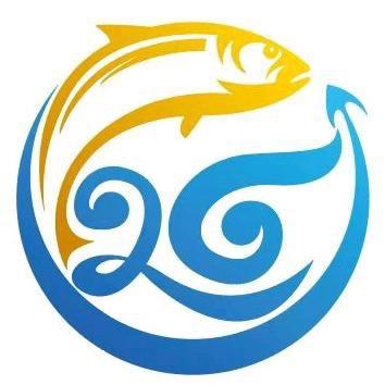 北纬26度大黄鱼甄选号