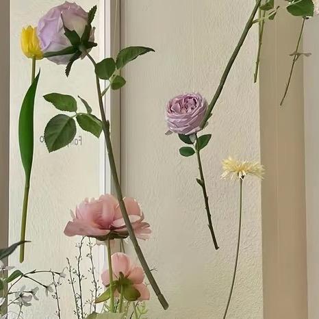 朴夫人日常穿搭