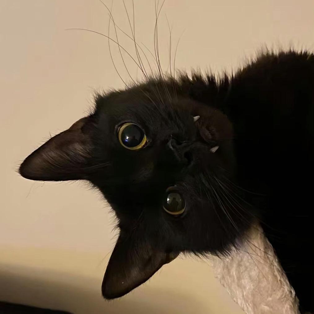 空位不传愣头青