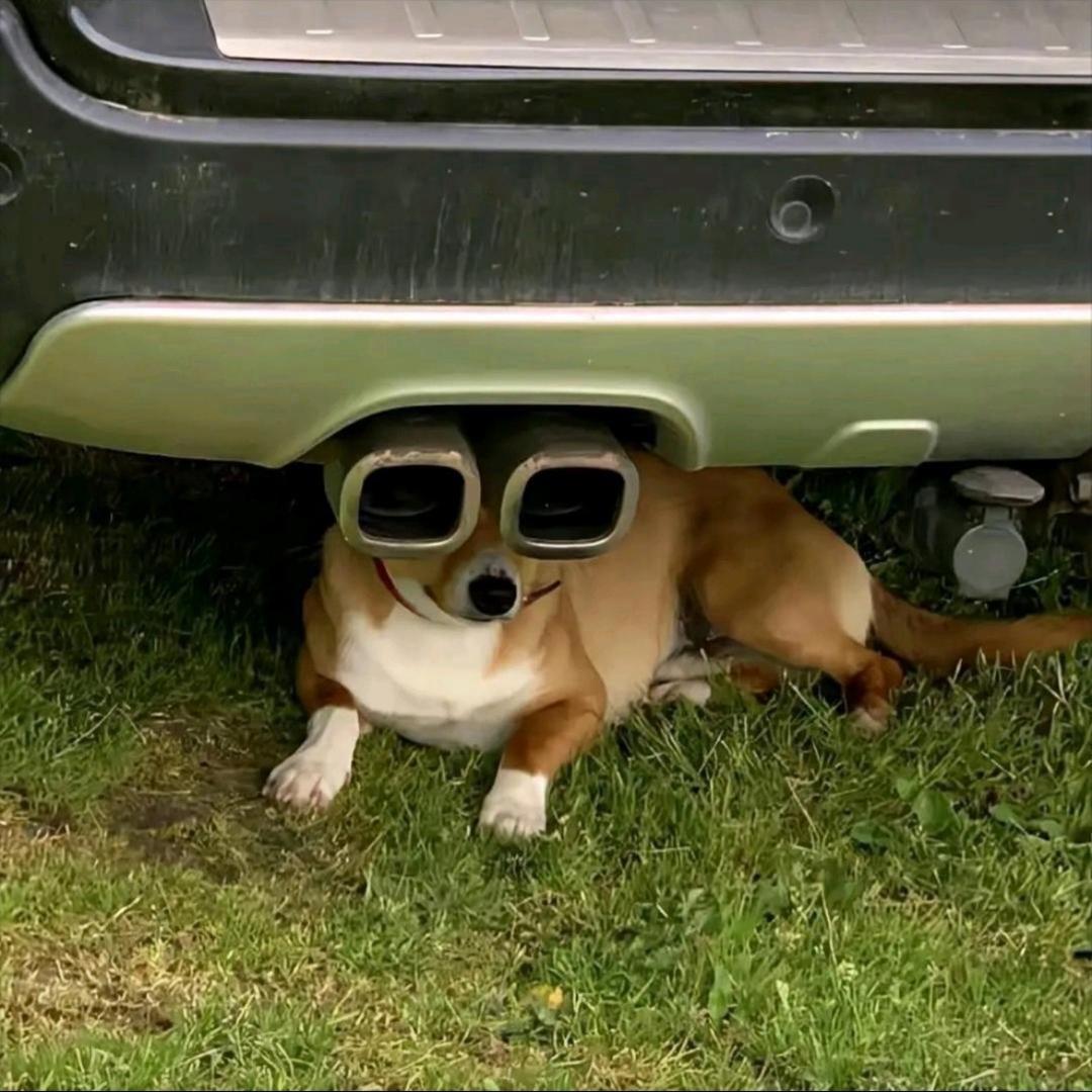 𝘅
