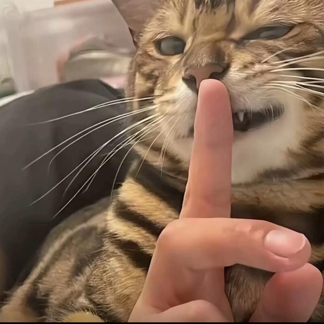 澜誝