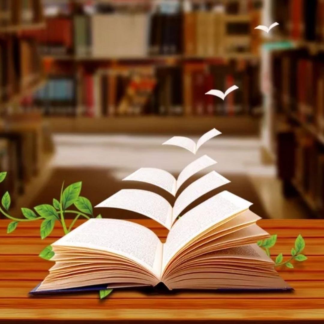 Alia学英语（0基础）