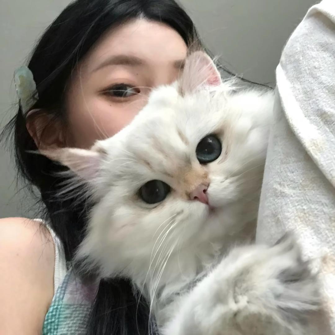 繁星点点