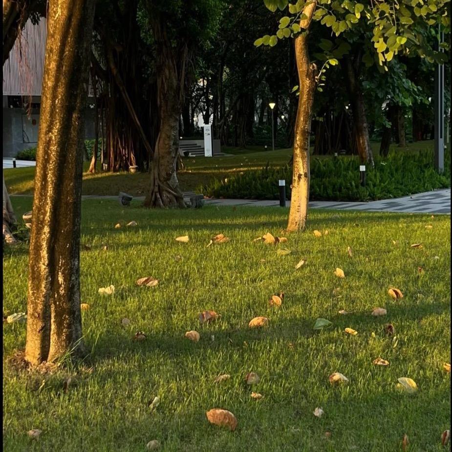 楠严