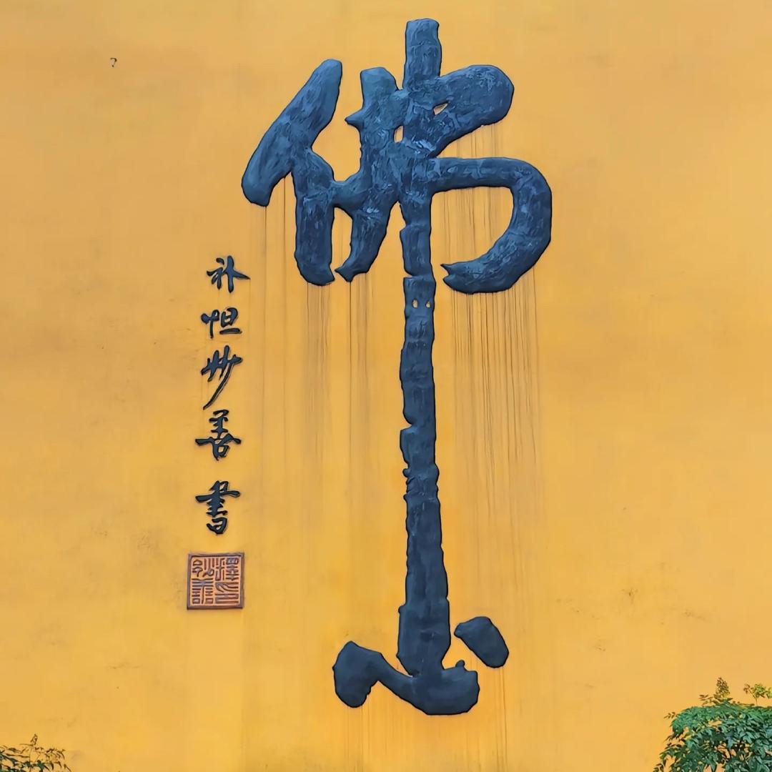 鼠鼠🐭（三角洲纯绿跑刀）