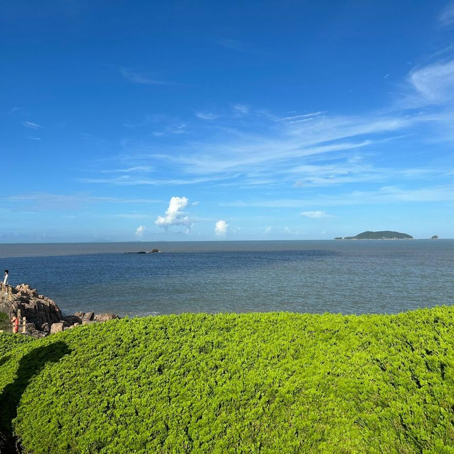 青岛农夫茶园小秦哥