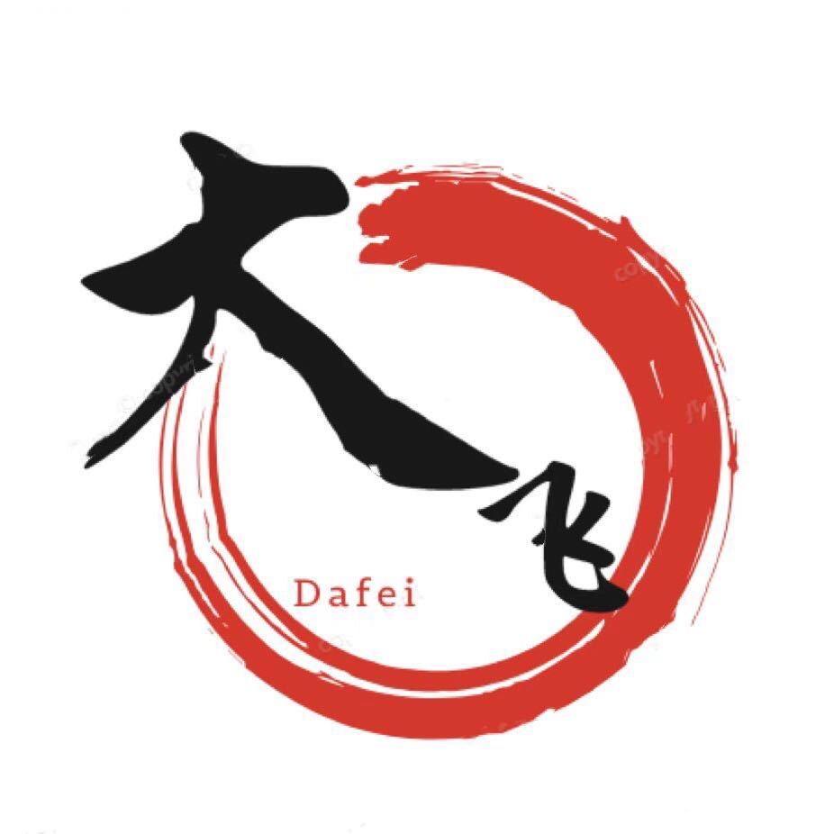 大飞信息科技