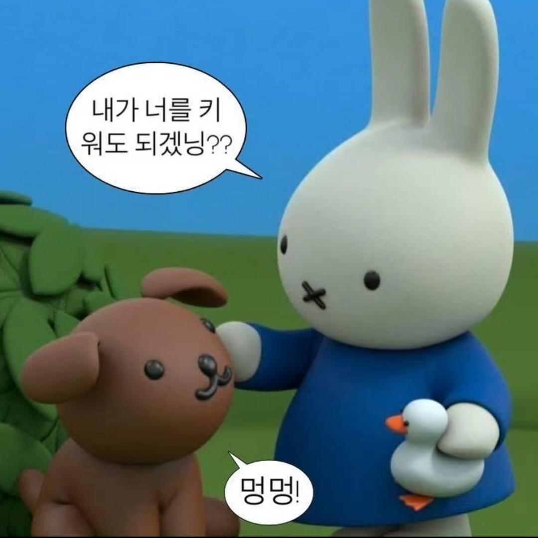 坚毅军犬（缓更