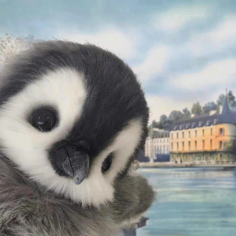 泡芙不要奶油哦