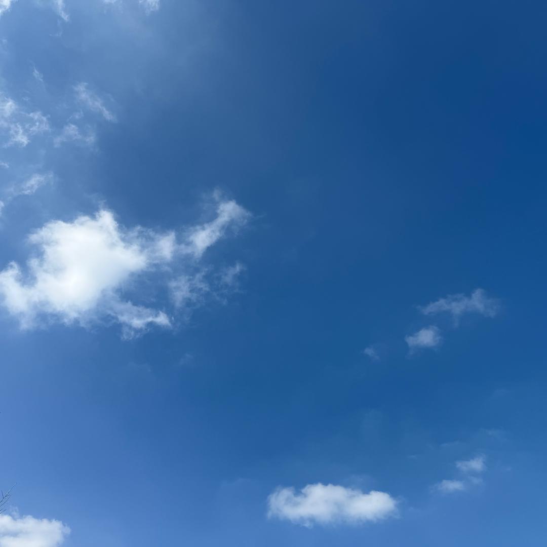 一口馒头。