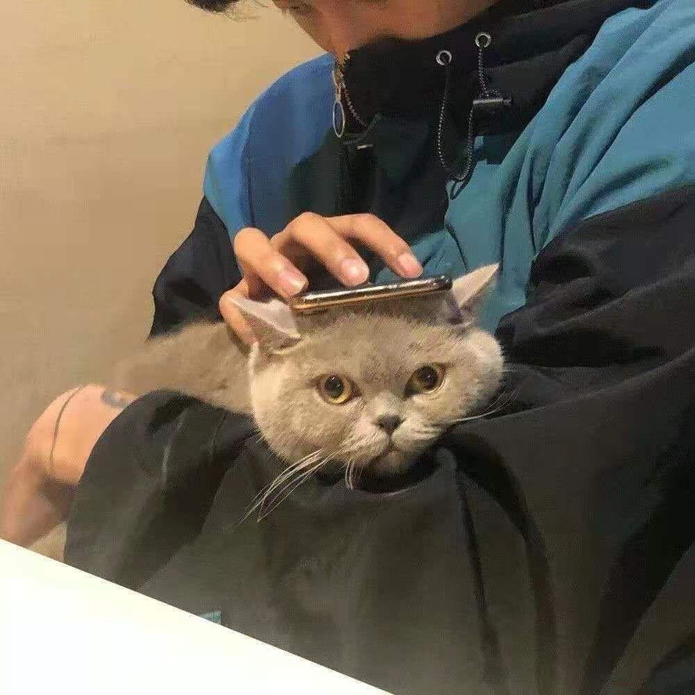 楊！
