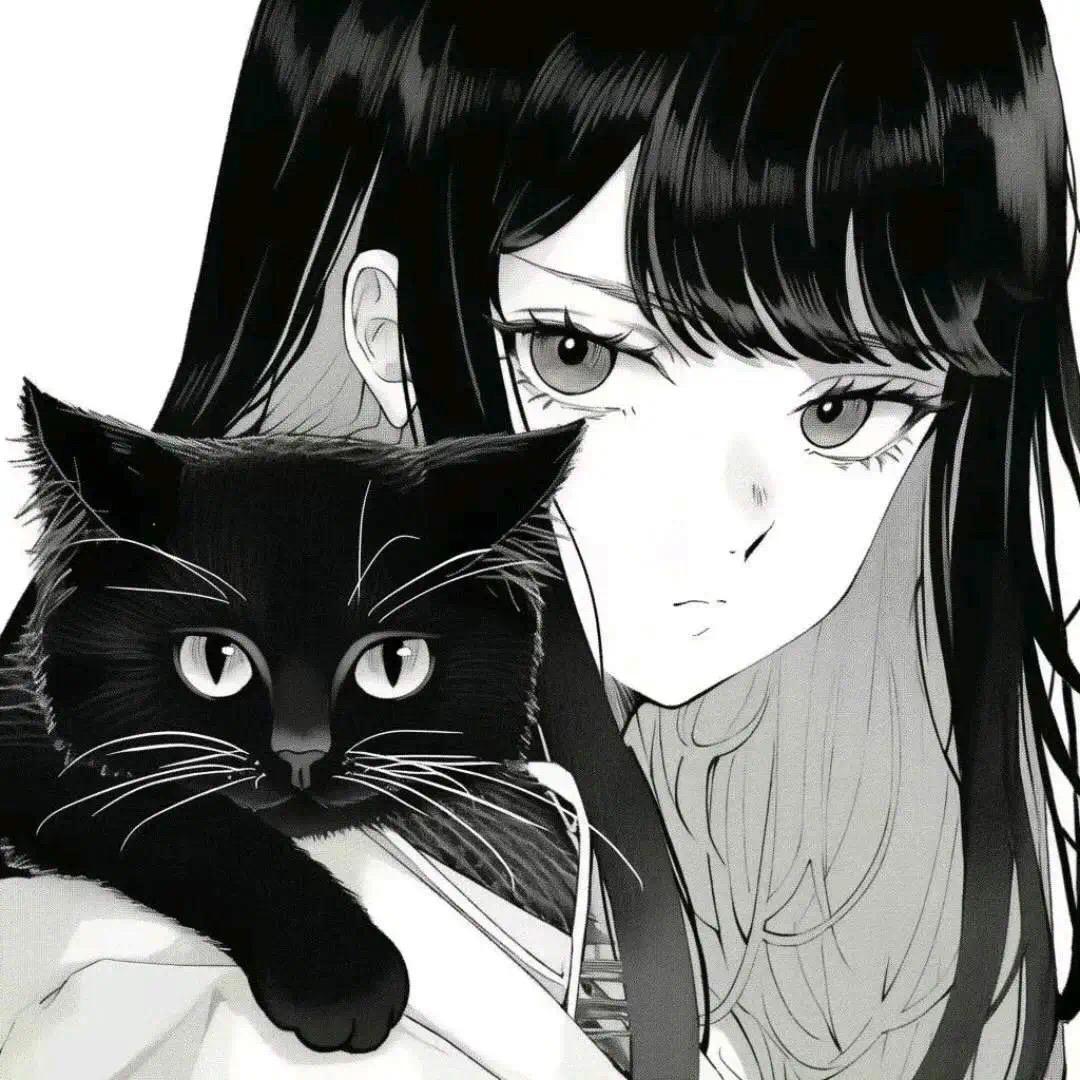 赵财猫•