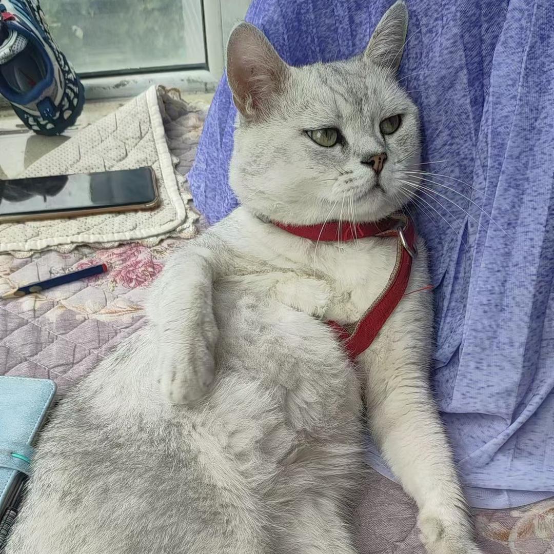 救赎🇨🇳