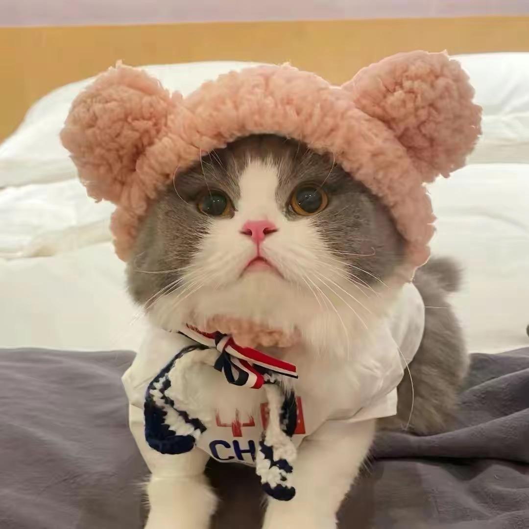 夏威夷·寿喜烧