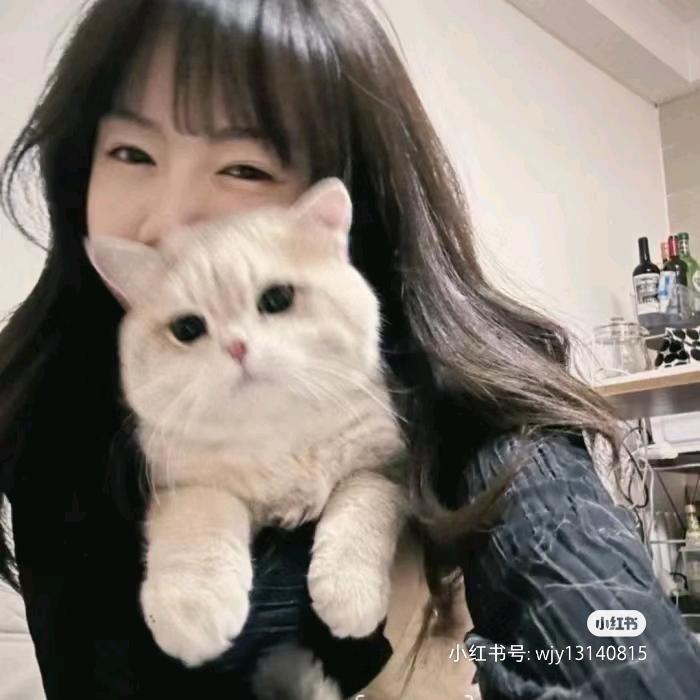 时笙ㅤ
