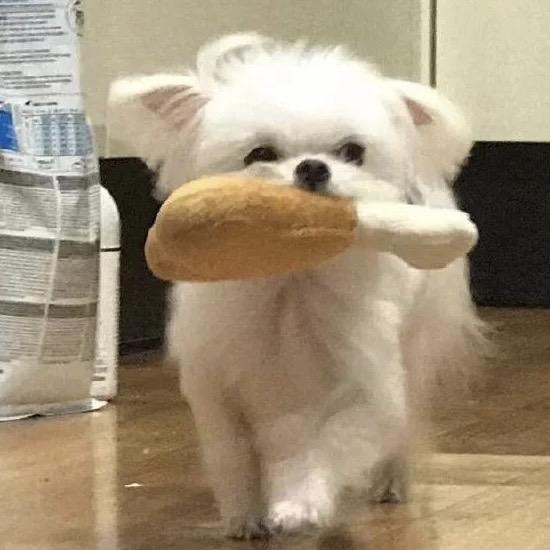 是小萱了
