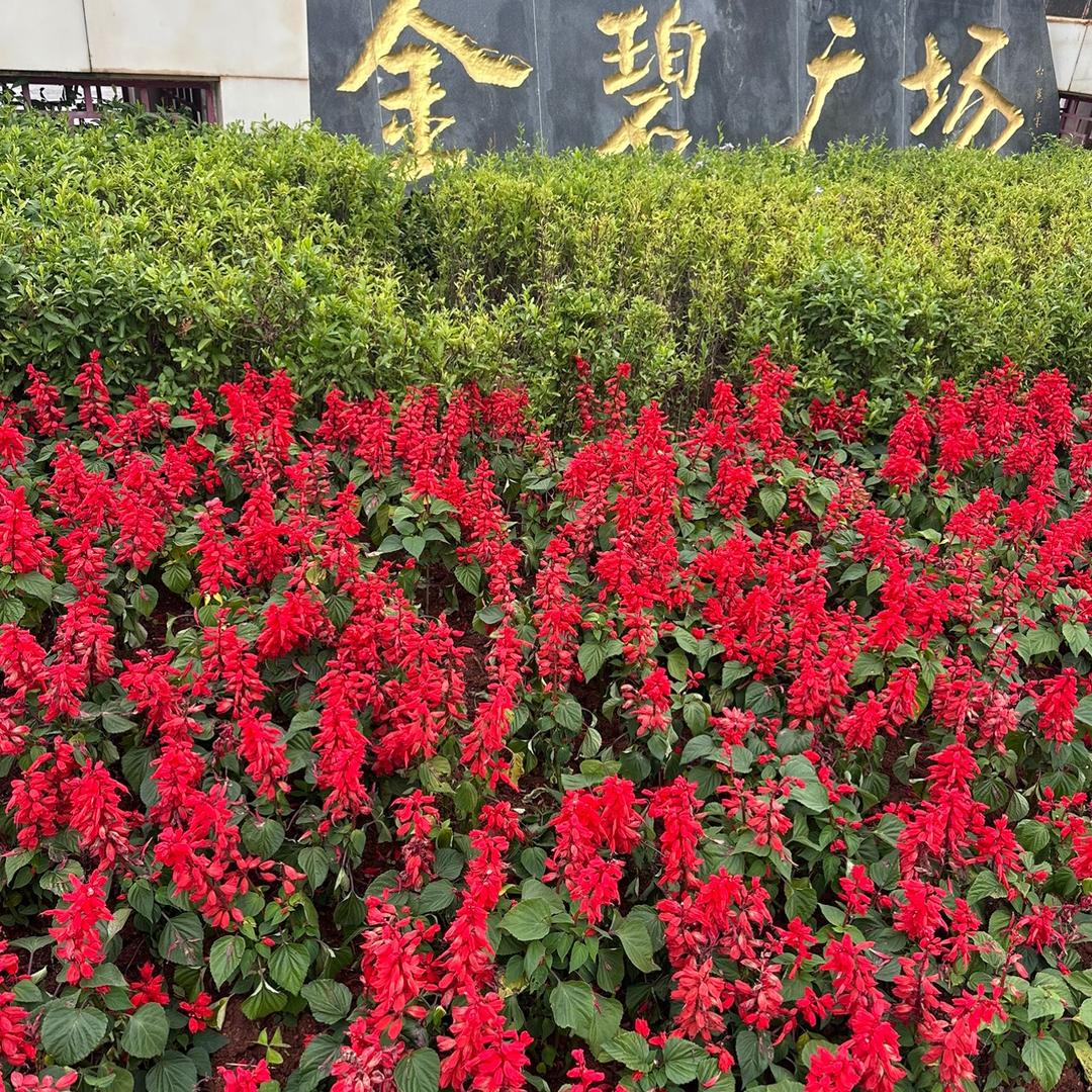 保持距离
