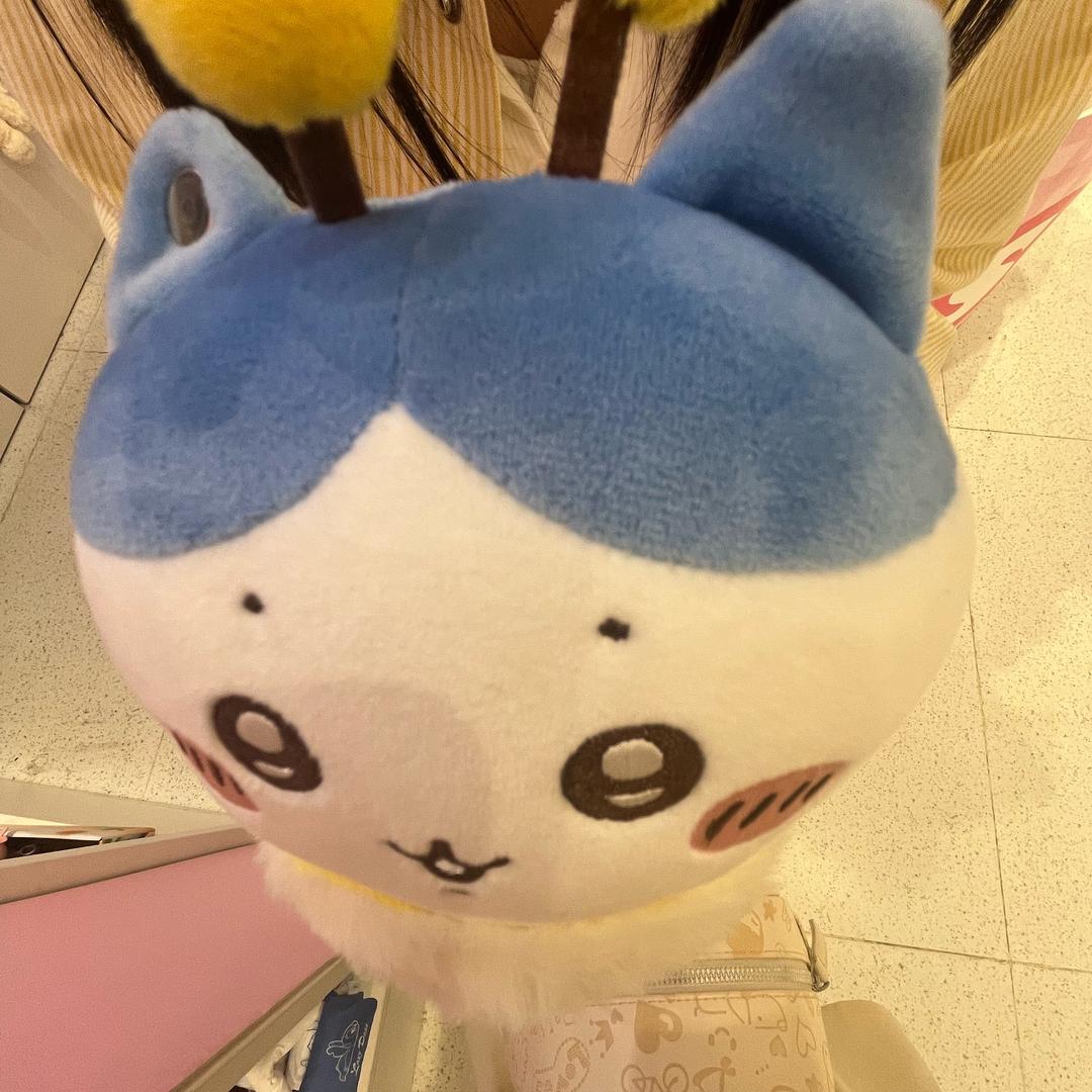 幼儿园的高材生