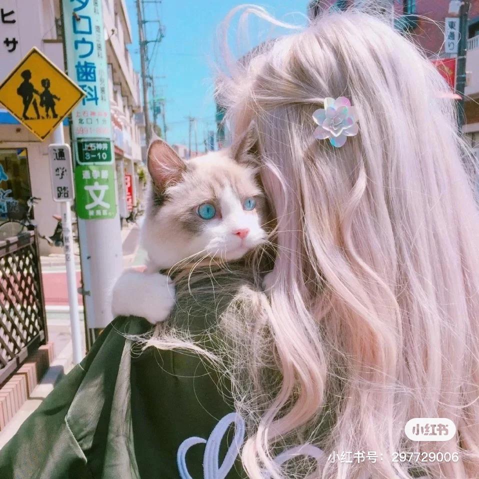 是六六的猫吖、