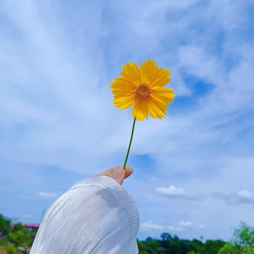 大管家ERP软件🌟佩奇