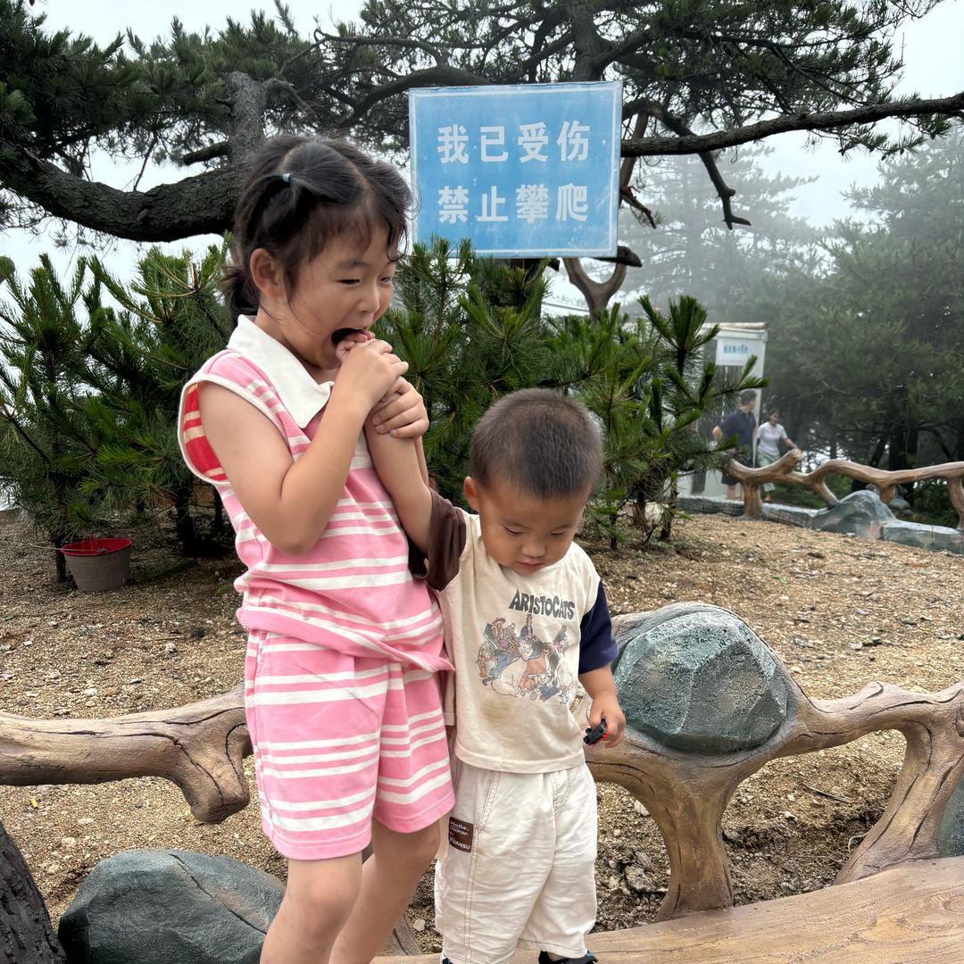 小汪旺旺旺