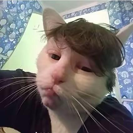 体力吕恒