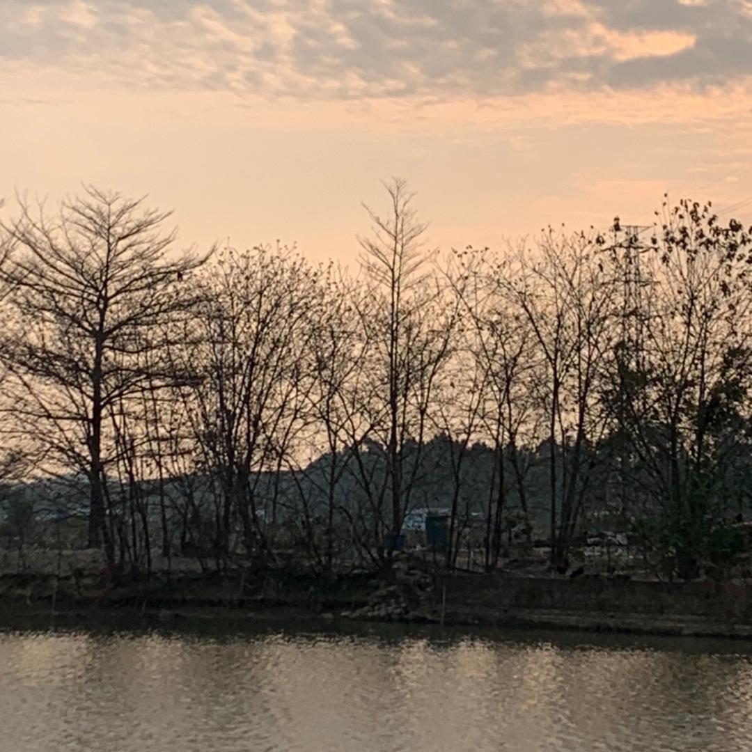 沪羽老林～养好鱼