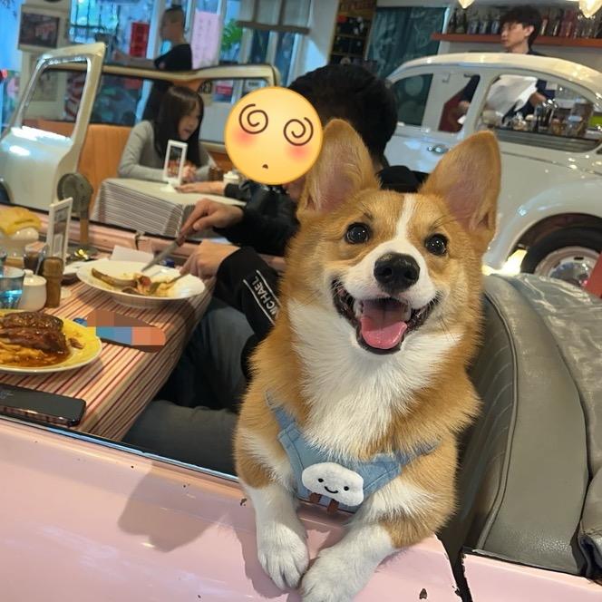 青头像
