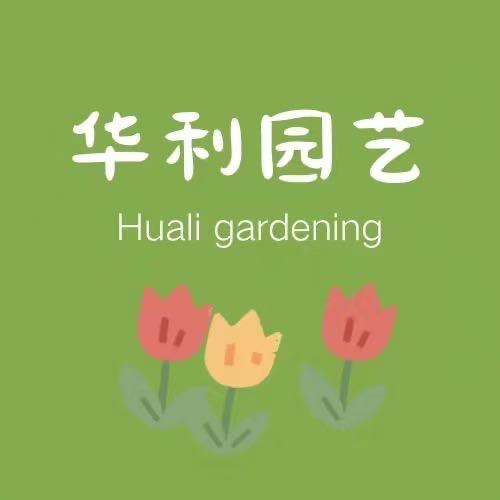 华利园艺阿彬