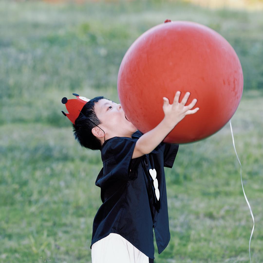 忻宝早教儿歌🚗