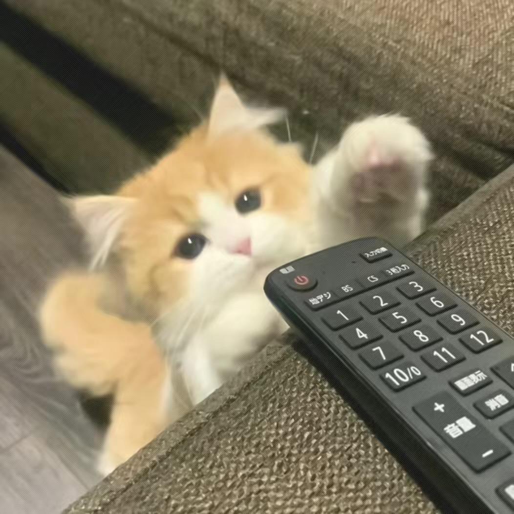 🐾