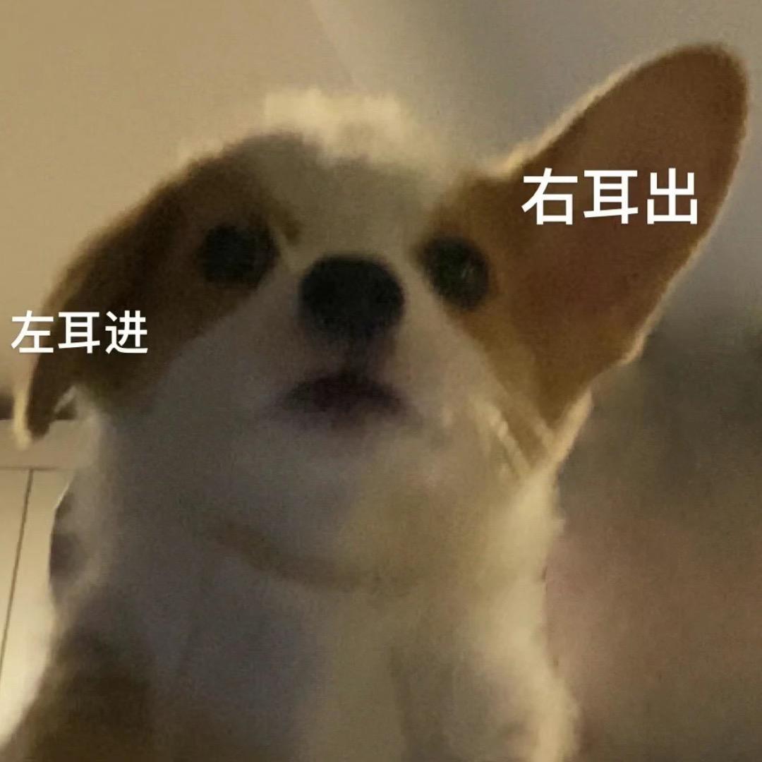 左耳进右耳出